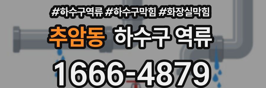 추암동 하수구 역류