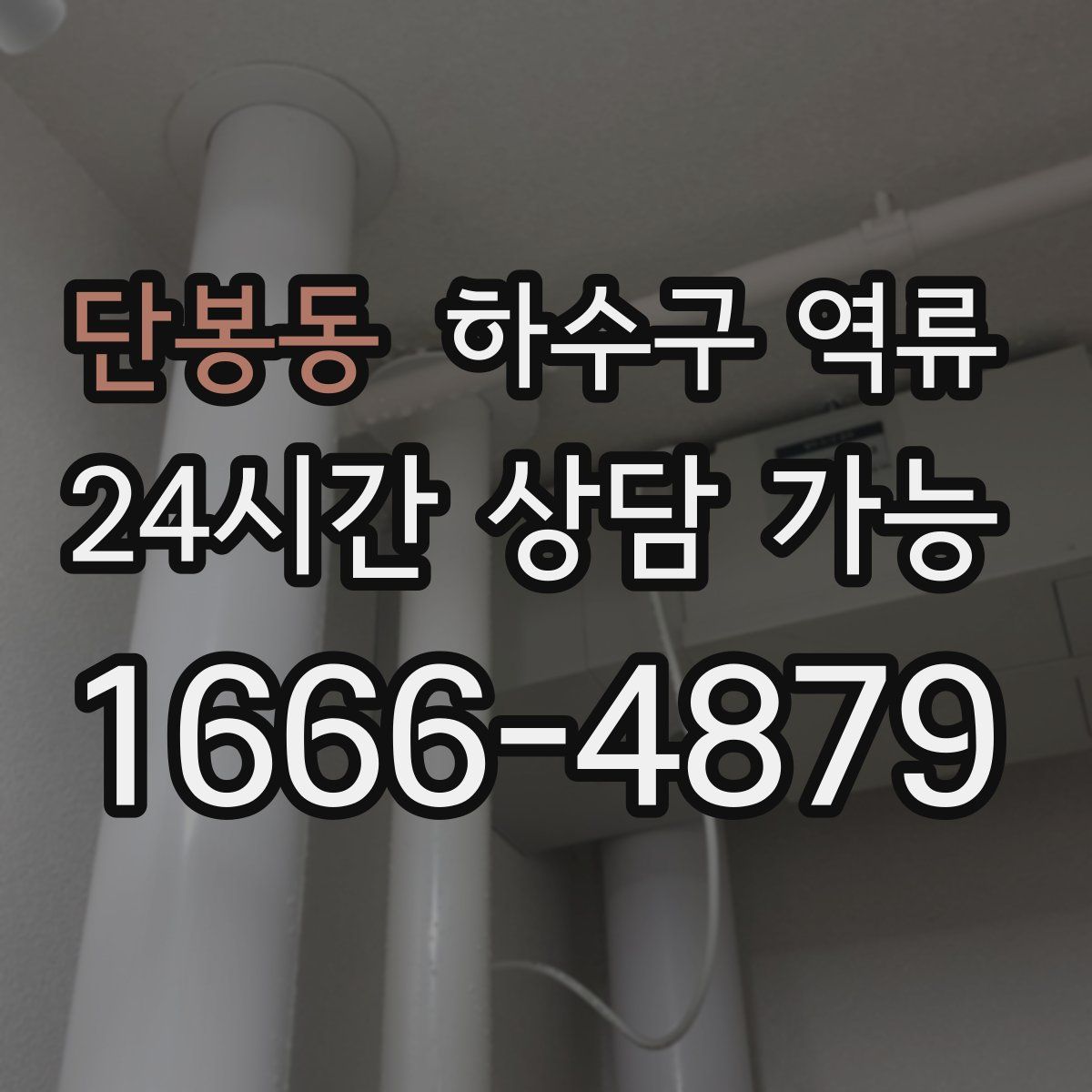 단봉동 하수구 역류