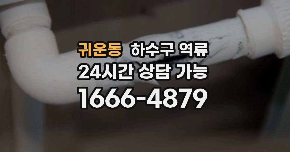 귀운동 하수구 역류