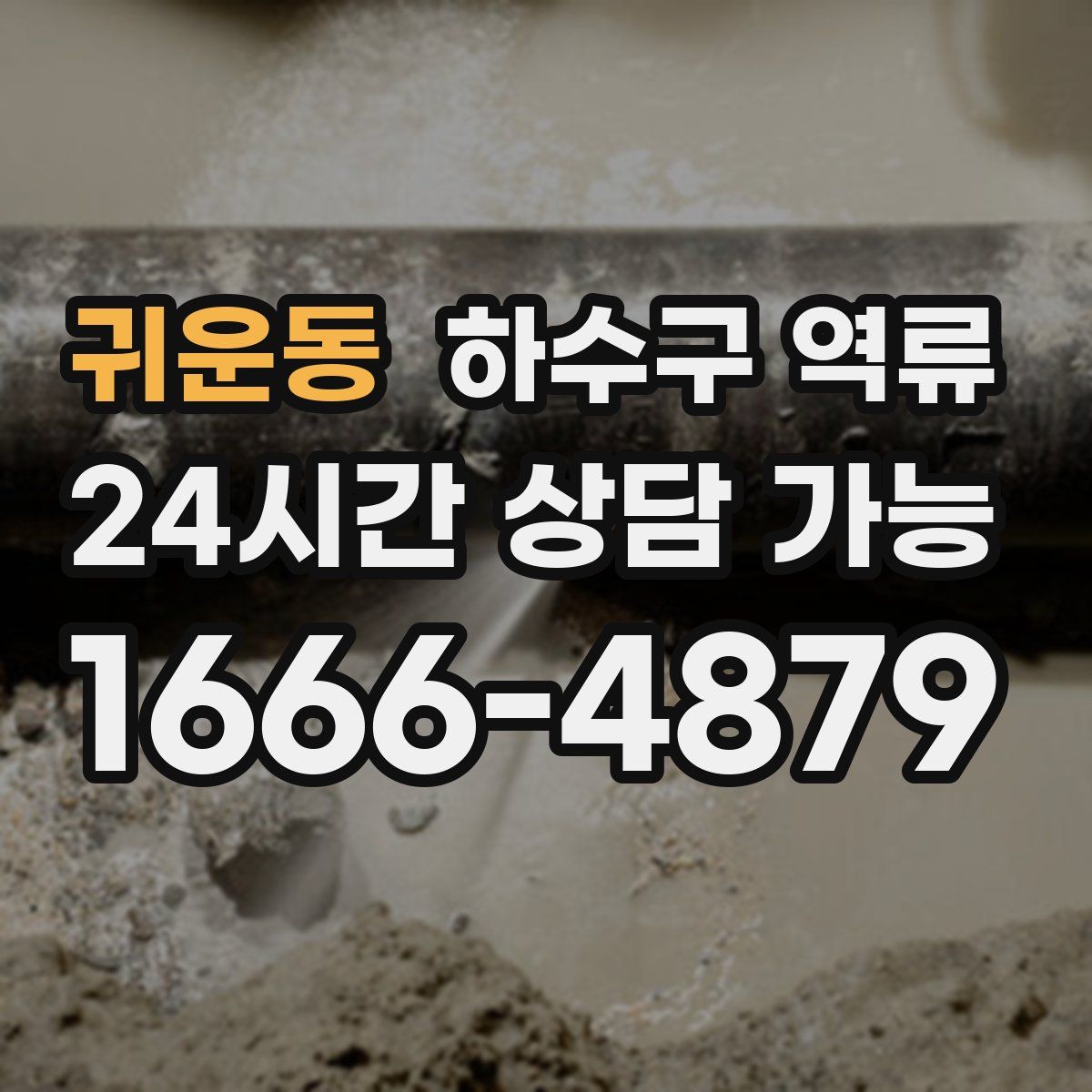 귀운동 하수구 역류