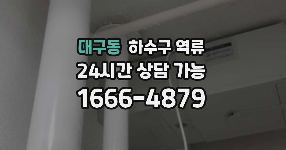 대구동 하수구 역류