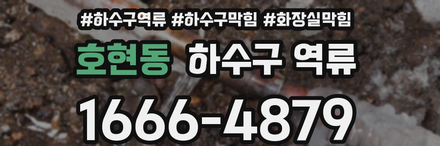 호현동 하수구 역류