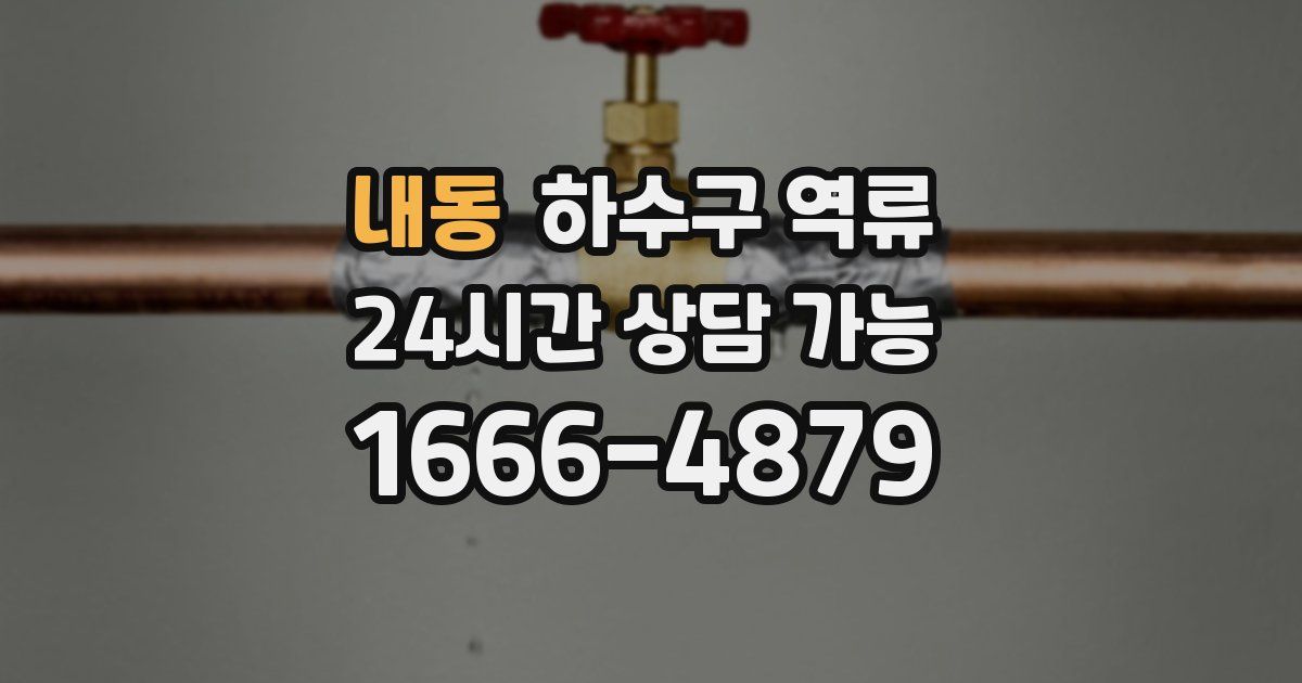 내동 하수구 역류