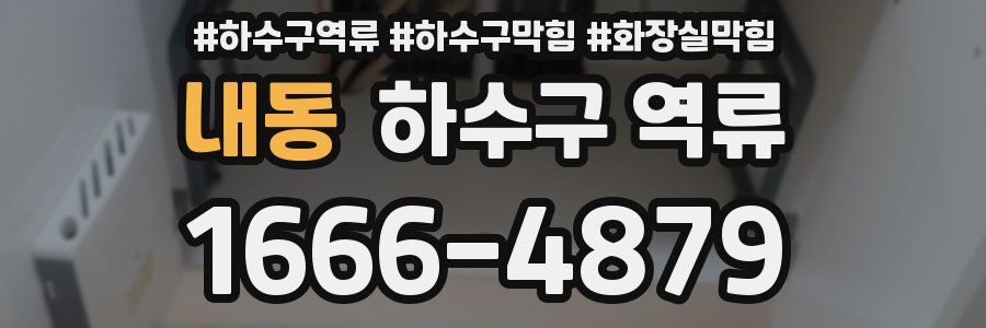 내동 하수구 역류