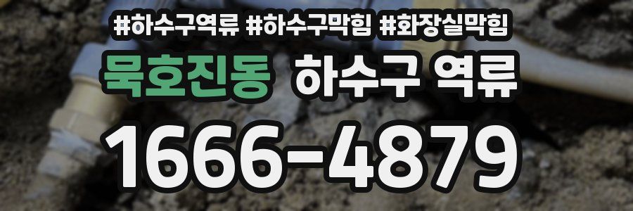 묵호진동 하수구 역류