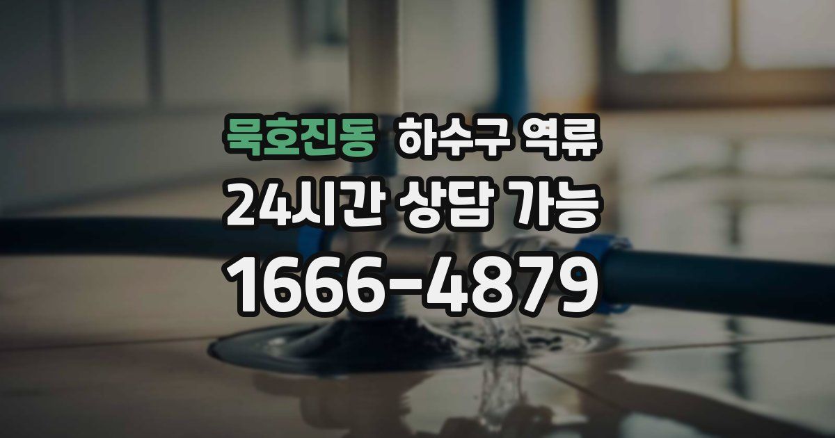 묵호진동 하수구 역류