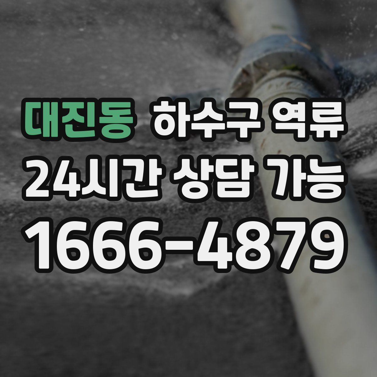 대진동 하수구 역류