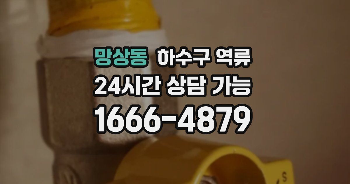 망상동 하수구 역류