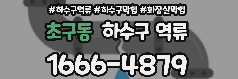 초구동 하수구 역류