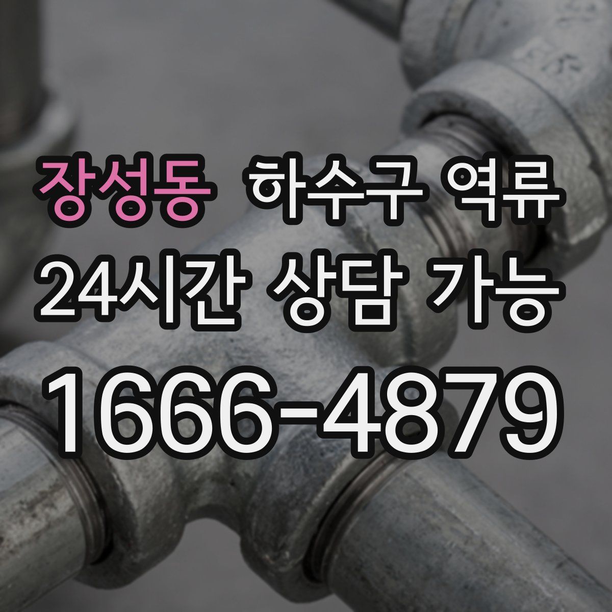 장성동 하수구 역류