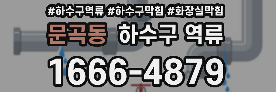 문곡동 하수구 역류