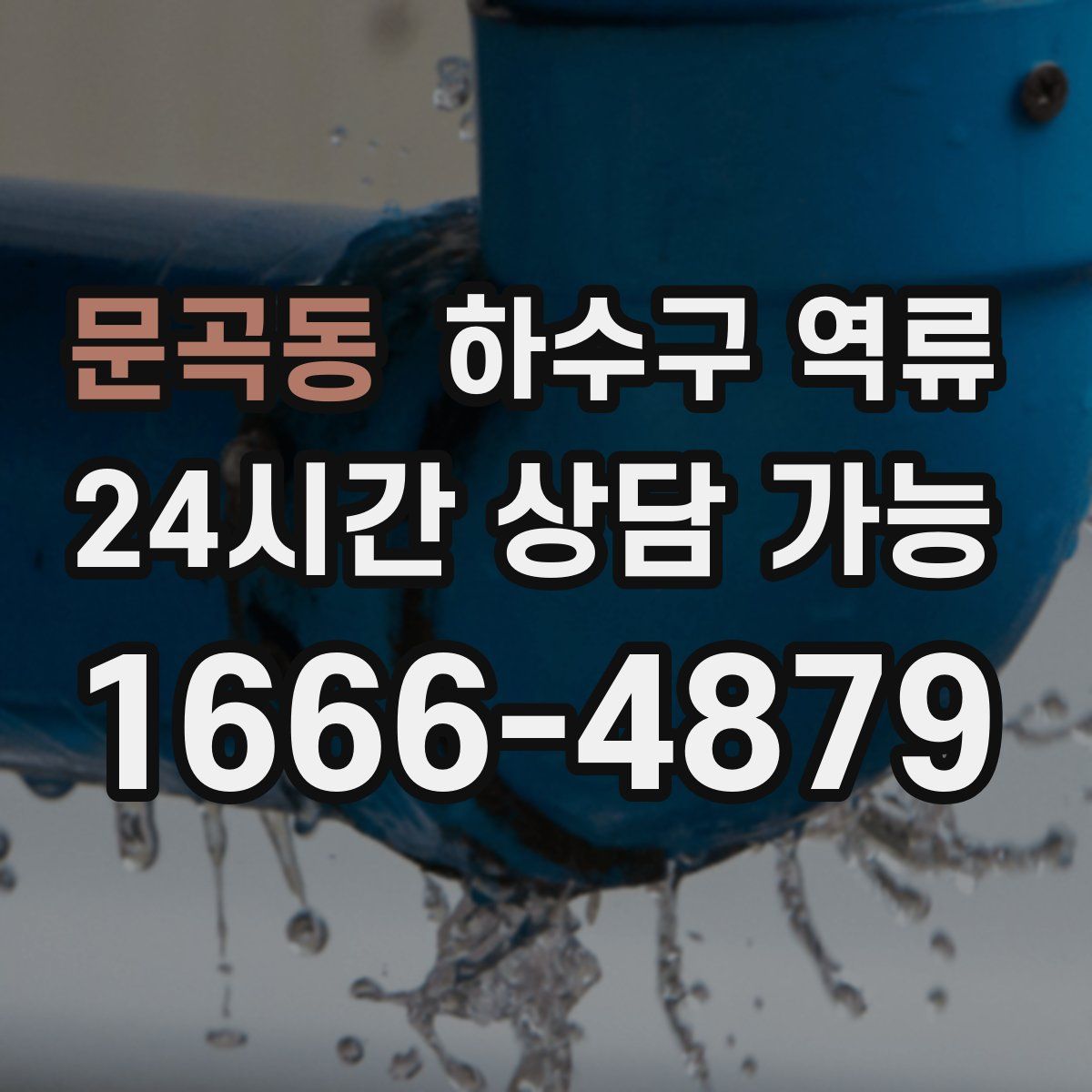 문곡동 하수구 역류