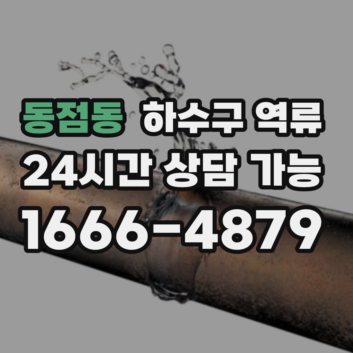동점동 하수구 역류