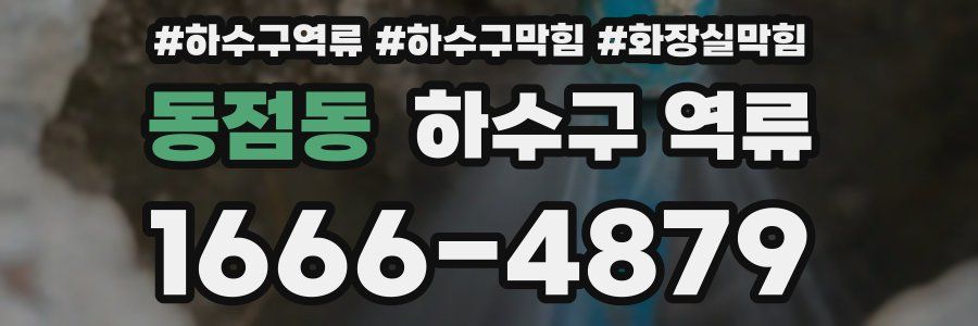 동점동 하수구 역류