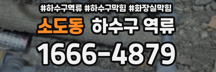 소도동 하수구 역류