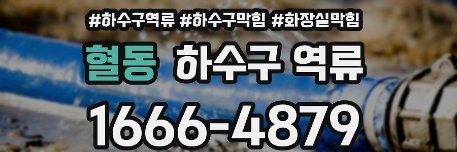 혈동 하수구 역류