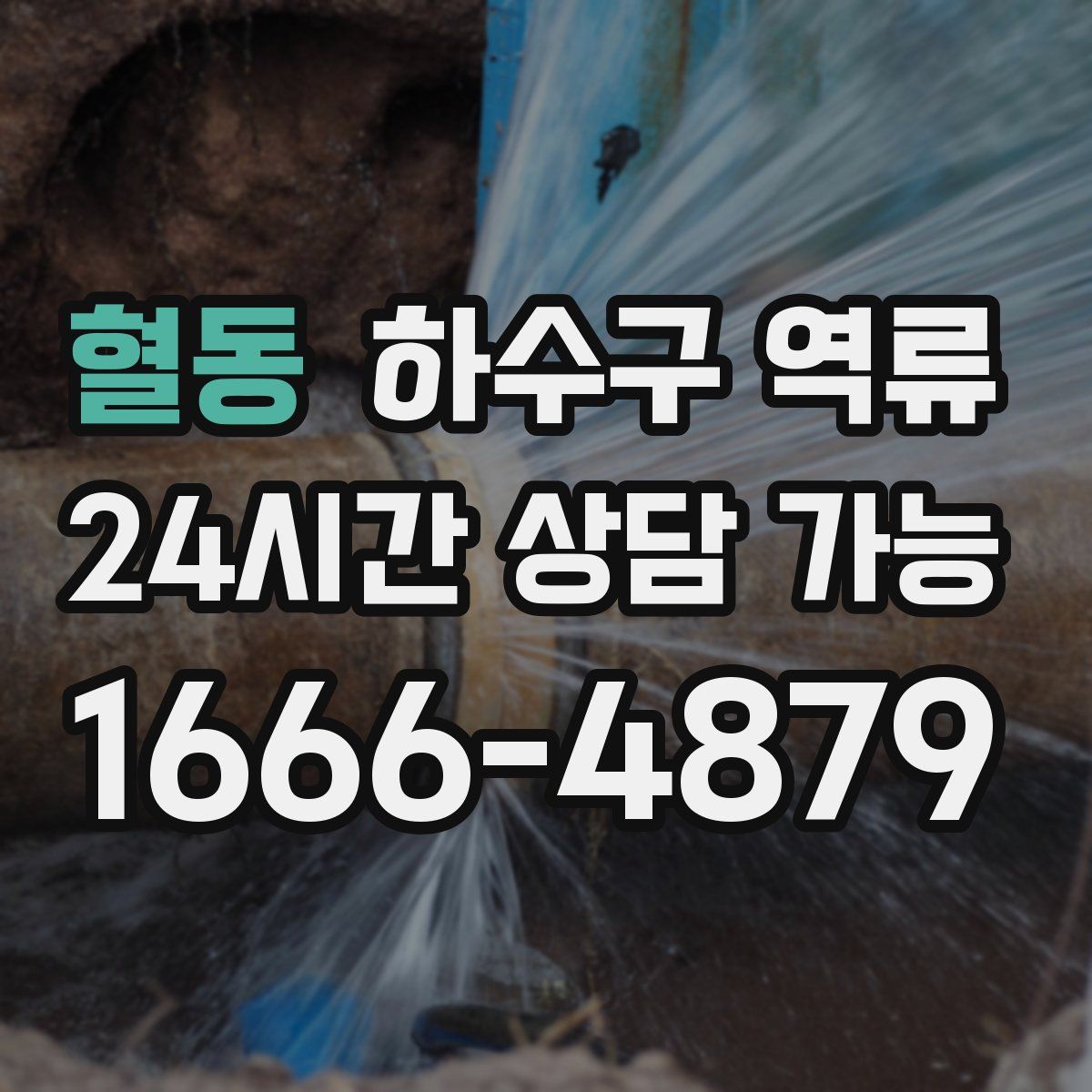 혈동 하수구 역류