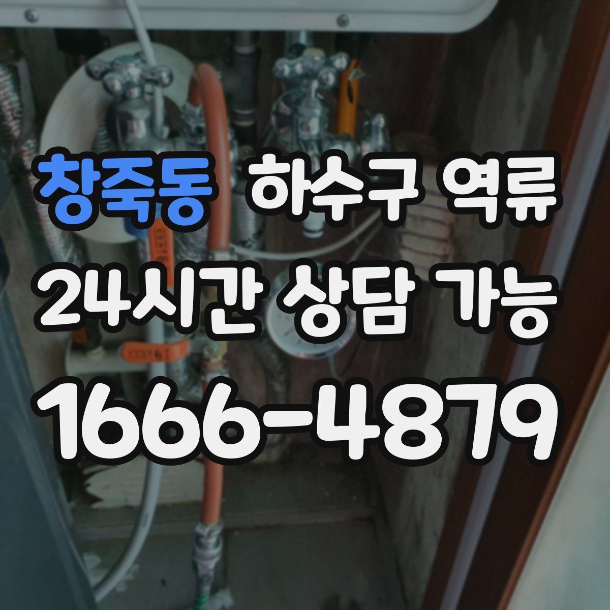 창죽동 하수구 역류