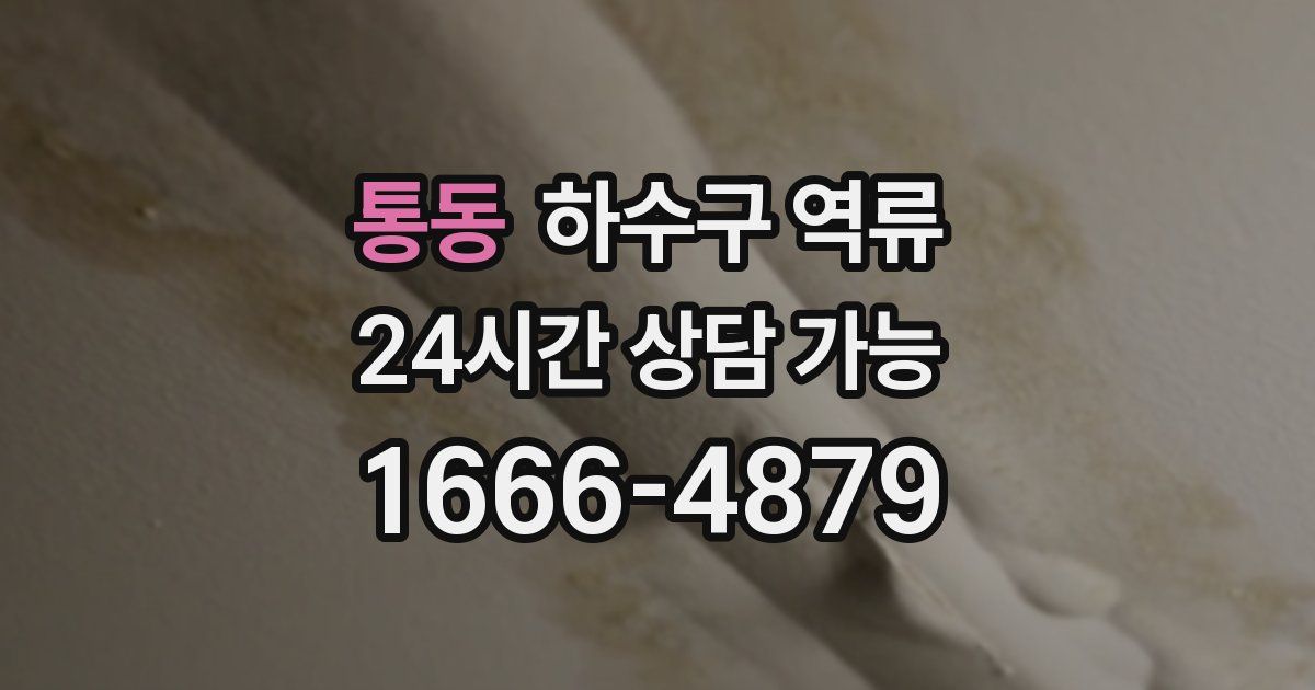 통동 하수구 역류