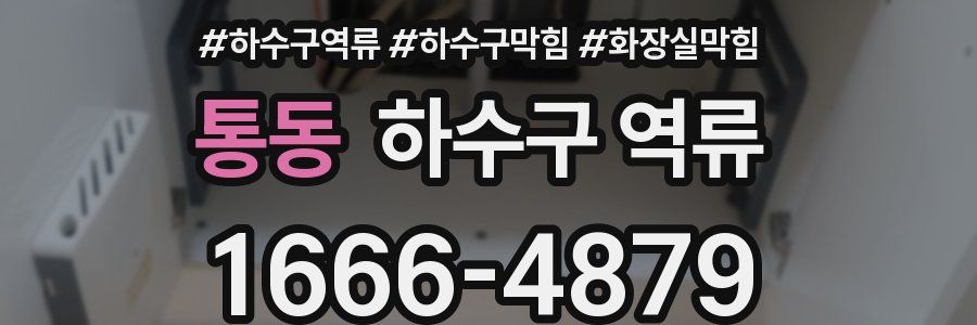 통동 하수구 역류