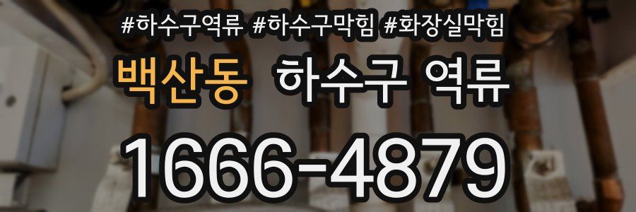 백산동 하수구 역류