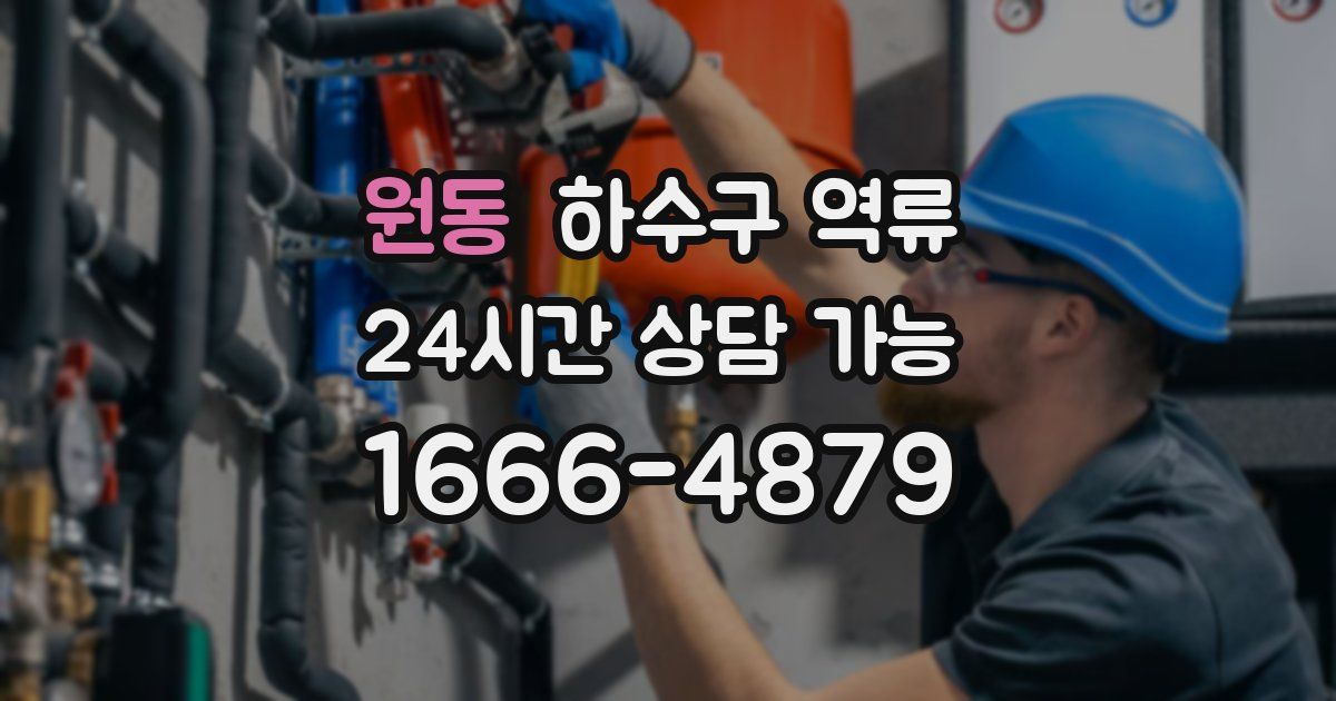 원동 하수구 역류