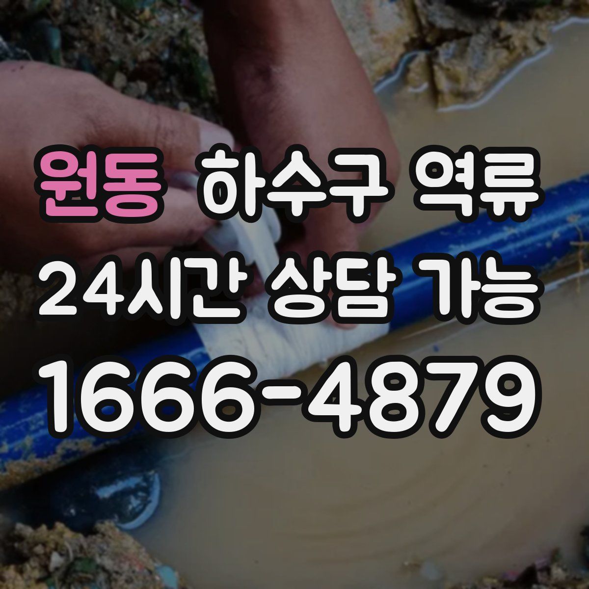 원동 하수구 역류