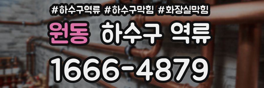 원동 하수구 역류