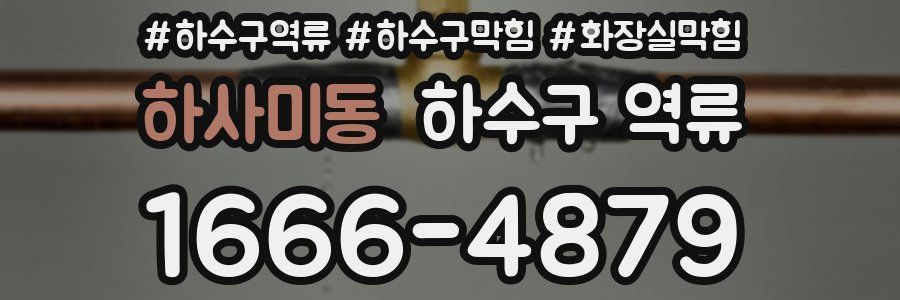 하사미동 하수구 역류