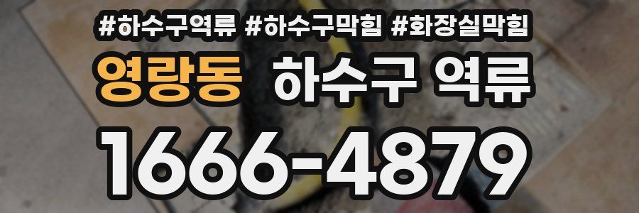 영랑동 하수구 역류