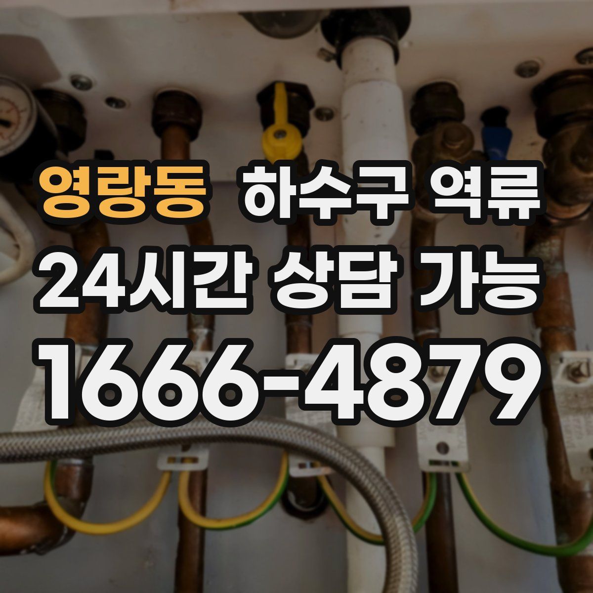 영랑동 하수구 역류