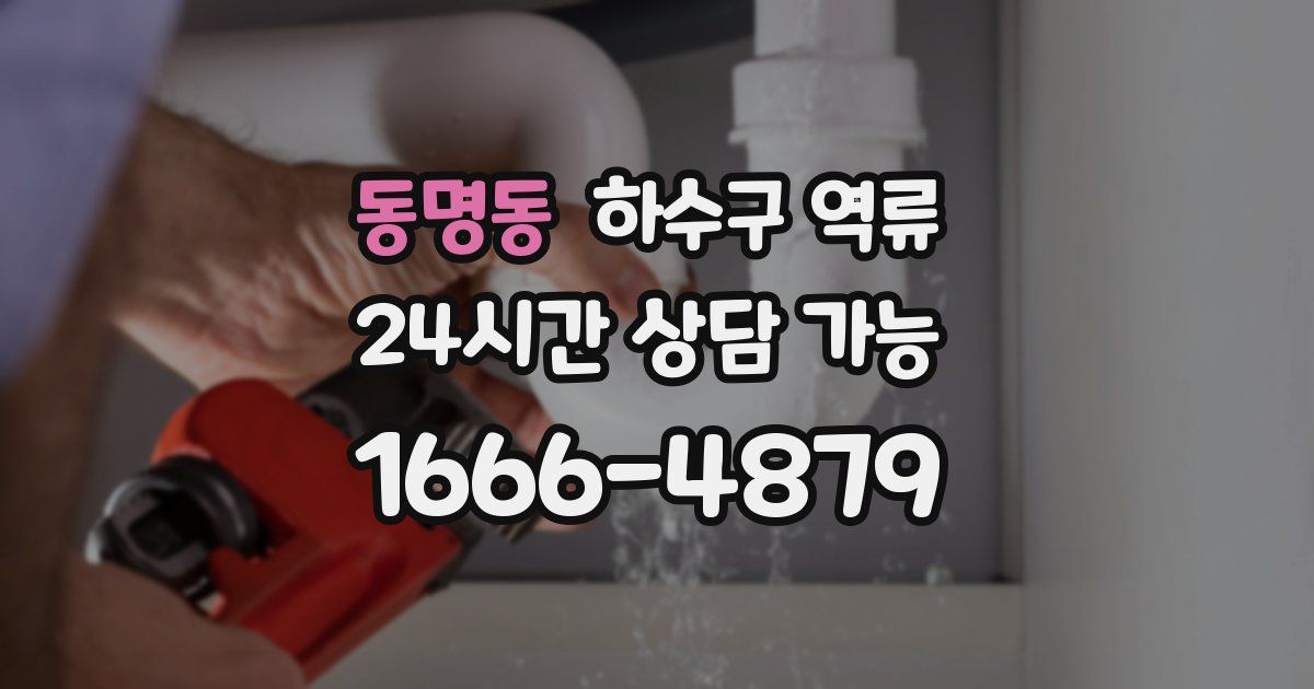 동명동 하수구 역류