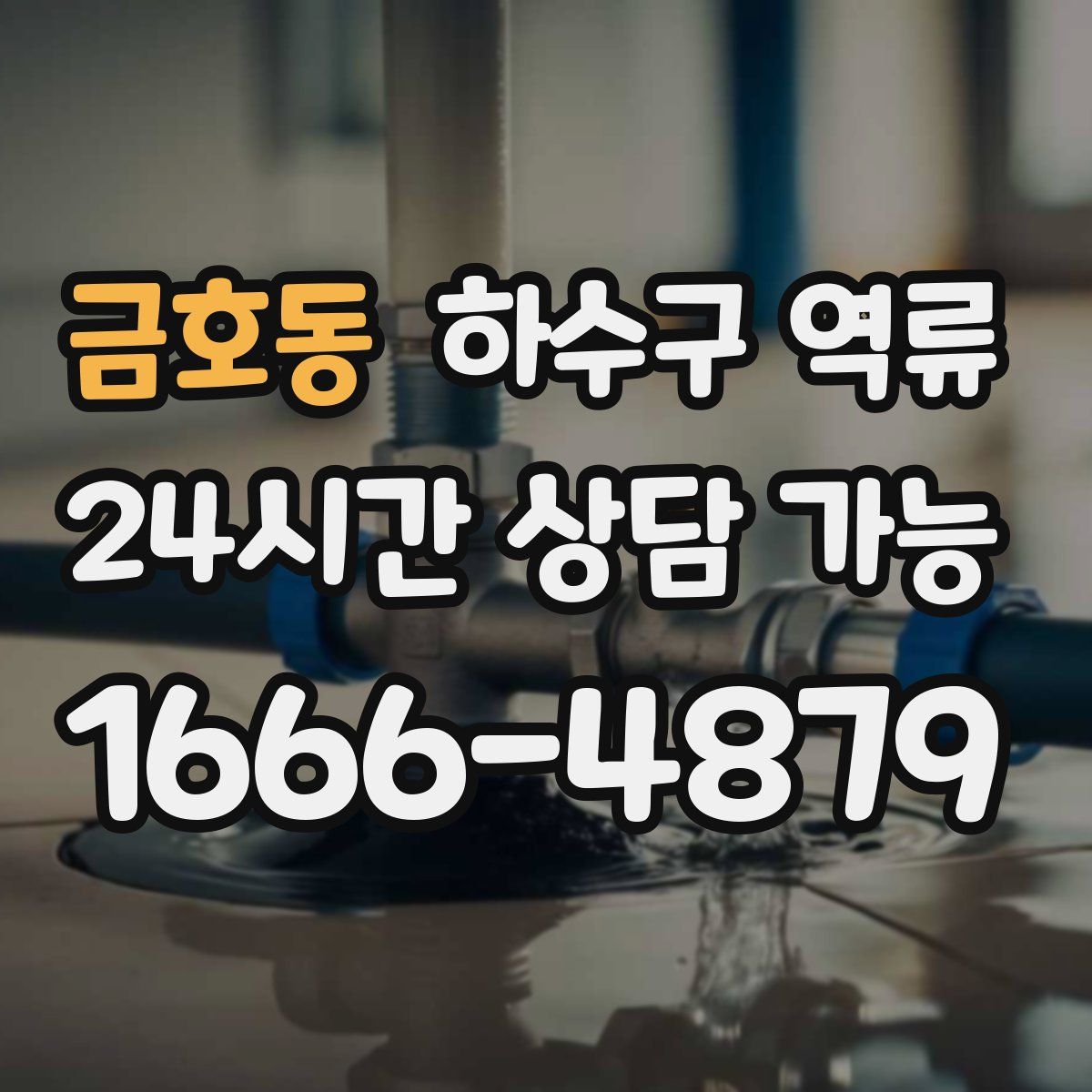 금호동 하수구 역류