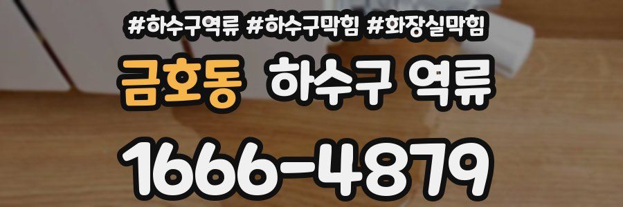 금호동 하수구 역류