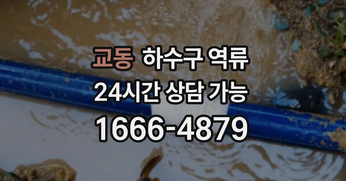 교동 하수구 역류