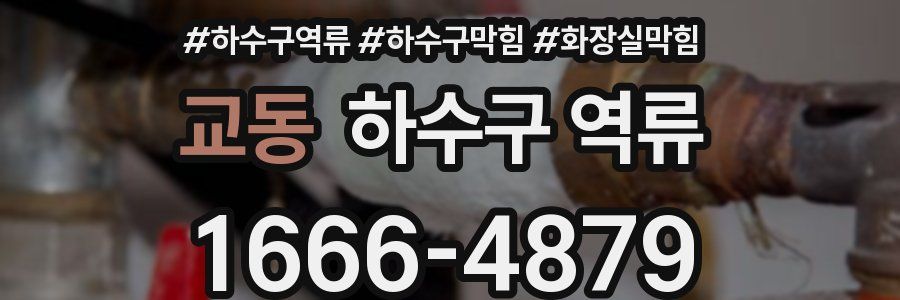 교동 하수구 역류