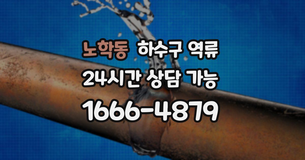 노학동 하수구 역류