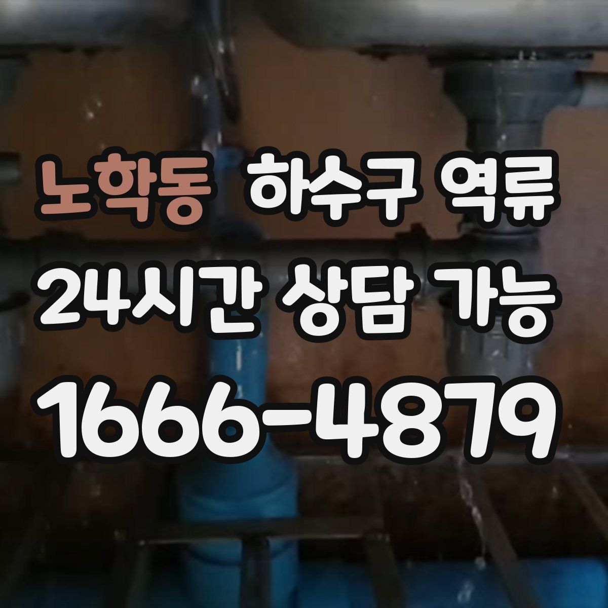 노학동 하수구 역류