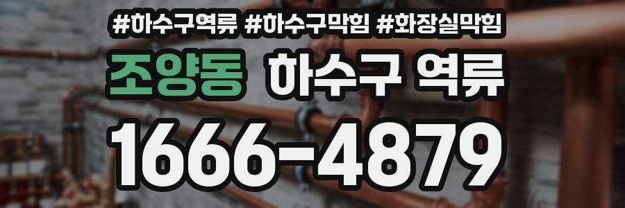 조양동 하수구 역류