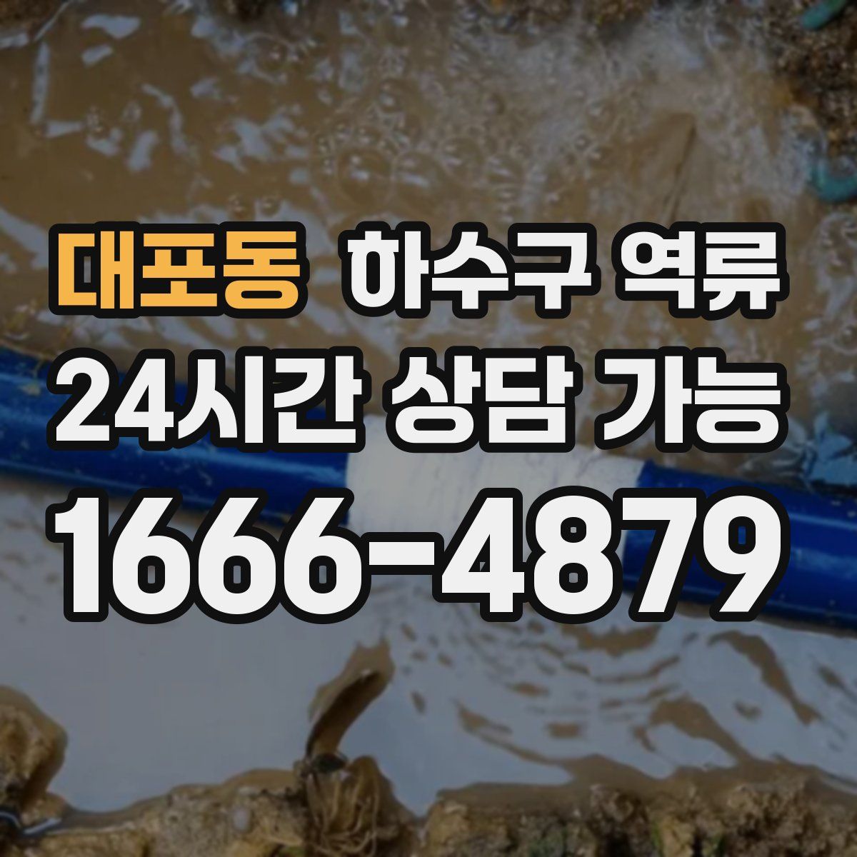 대포동 하수구 역류