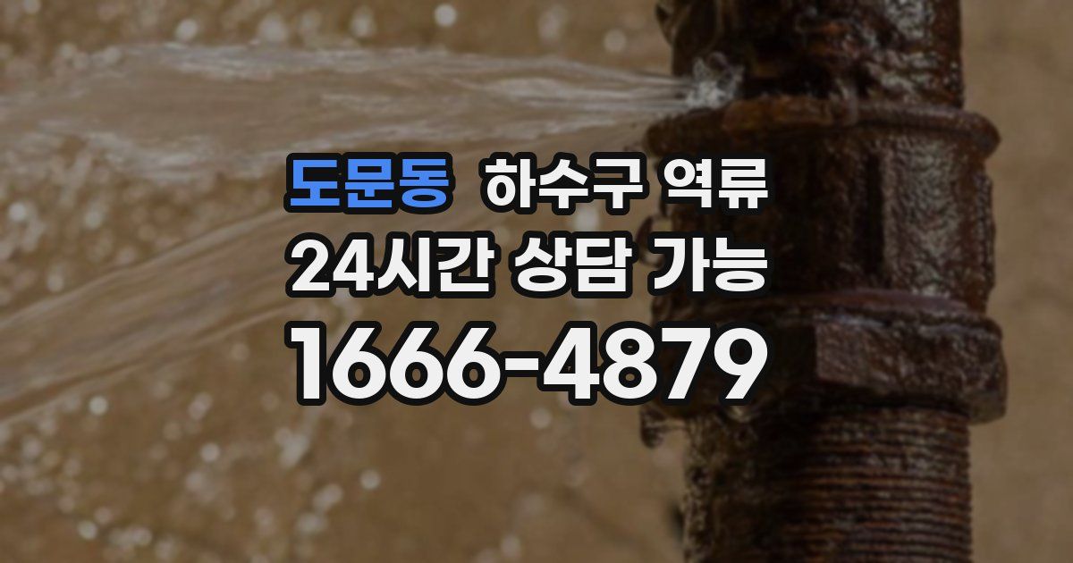 도문동 하수구 역류