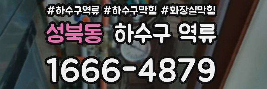 성북동 하수구 역류