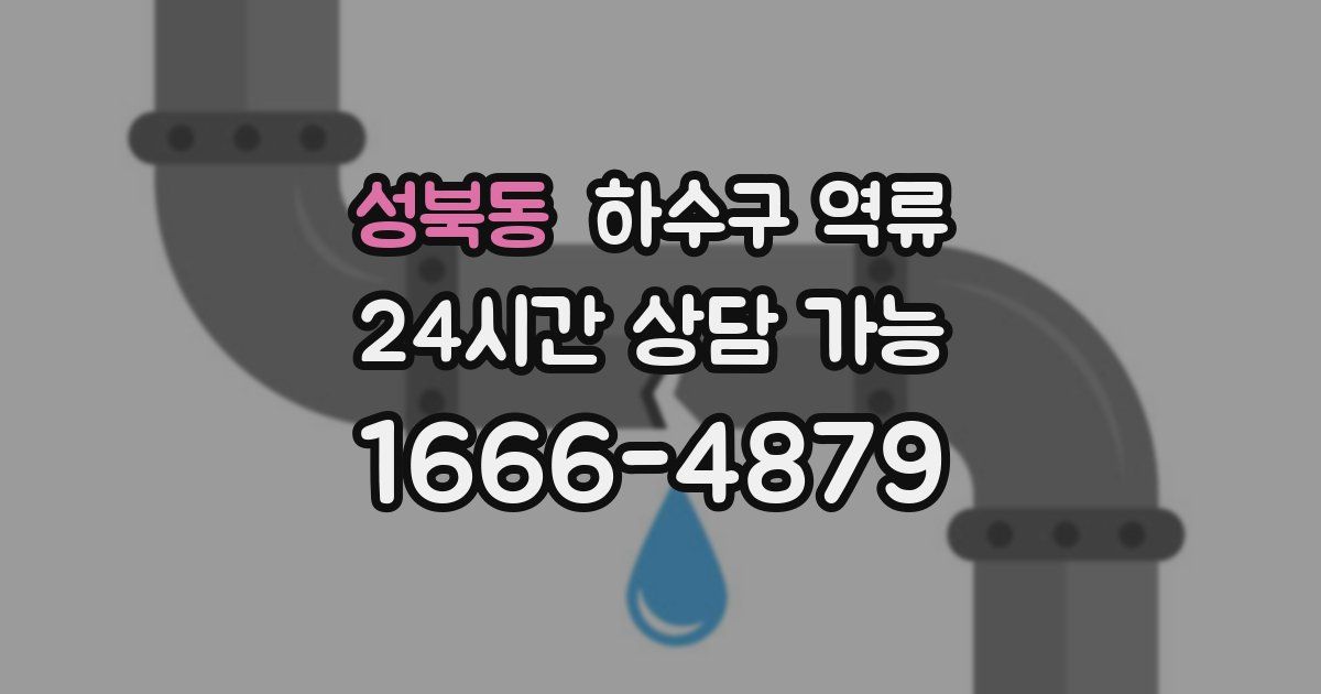 성북동 하수구 역류