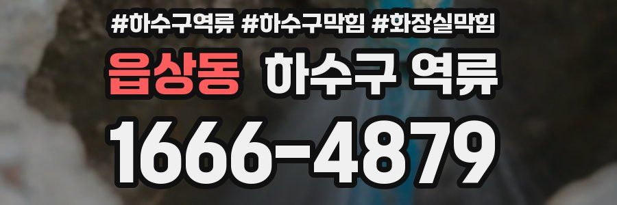 읍상동 하수구 역류