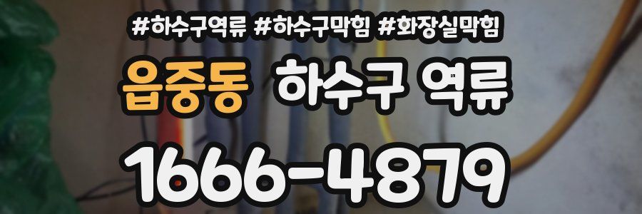 읍중동 하수구 역류