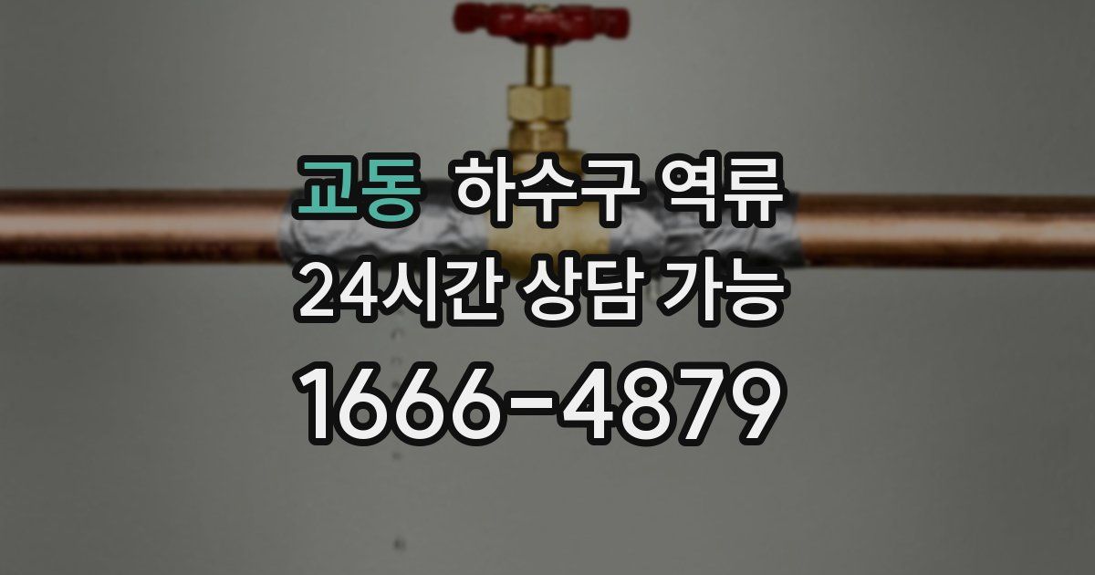 교동 하수구 역류