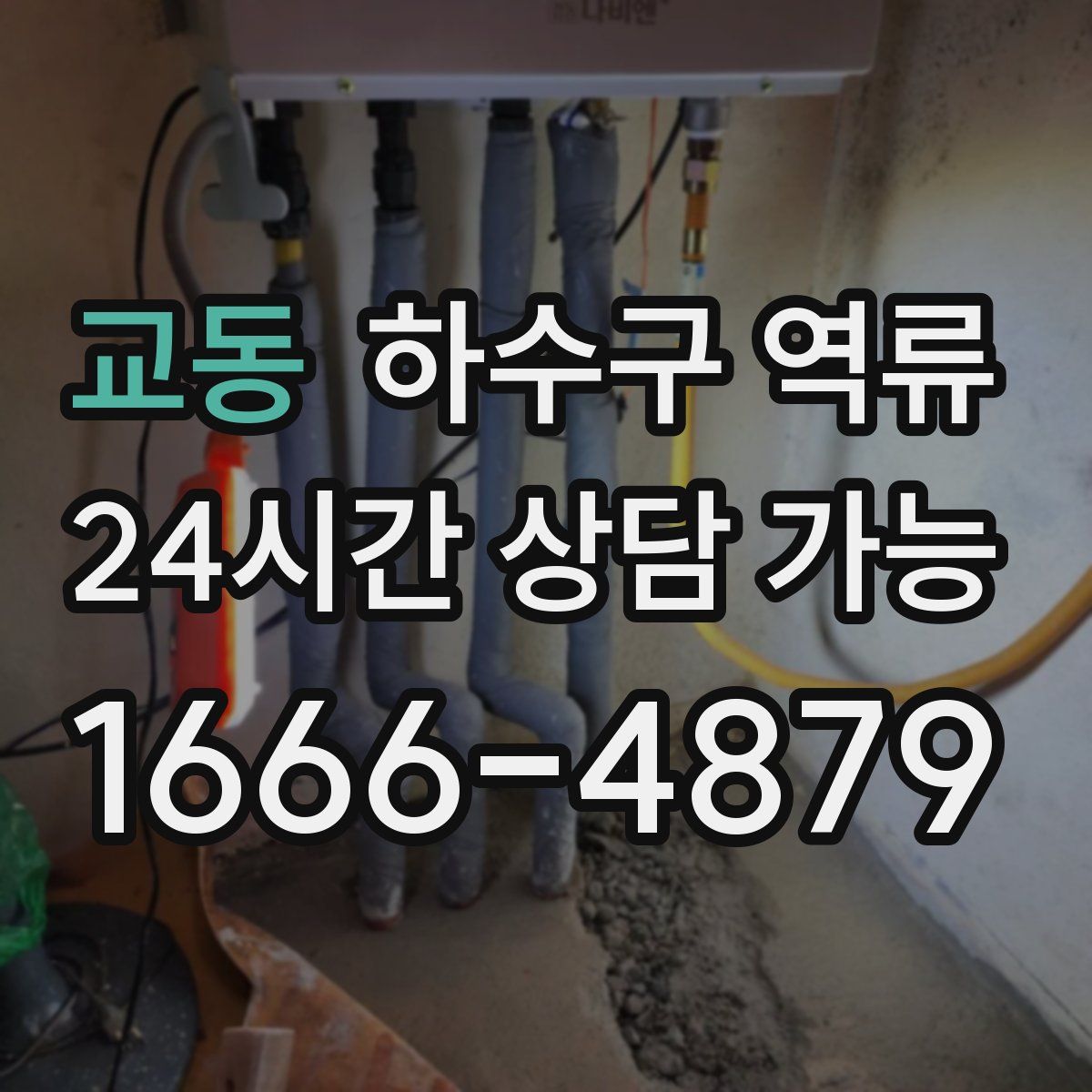 교동 하수구 역류