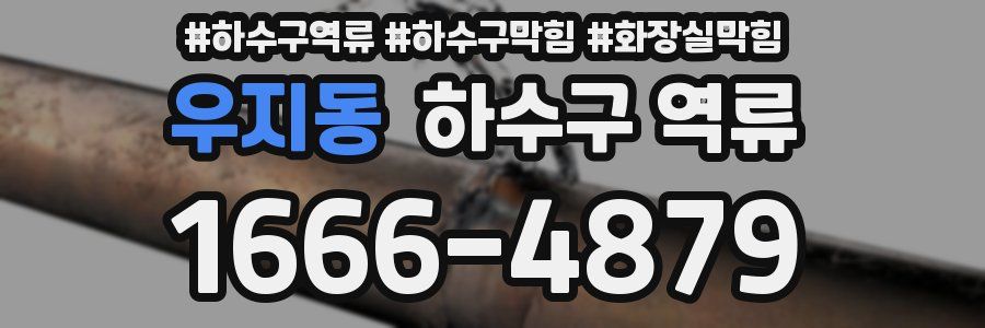 우지동 하수구 역류