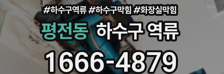 평전동 하수구 역류