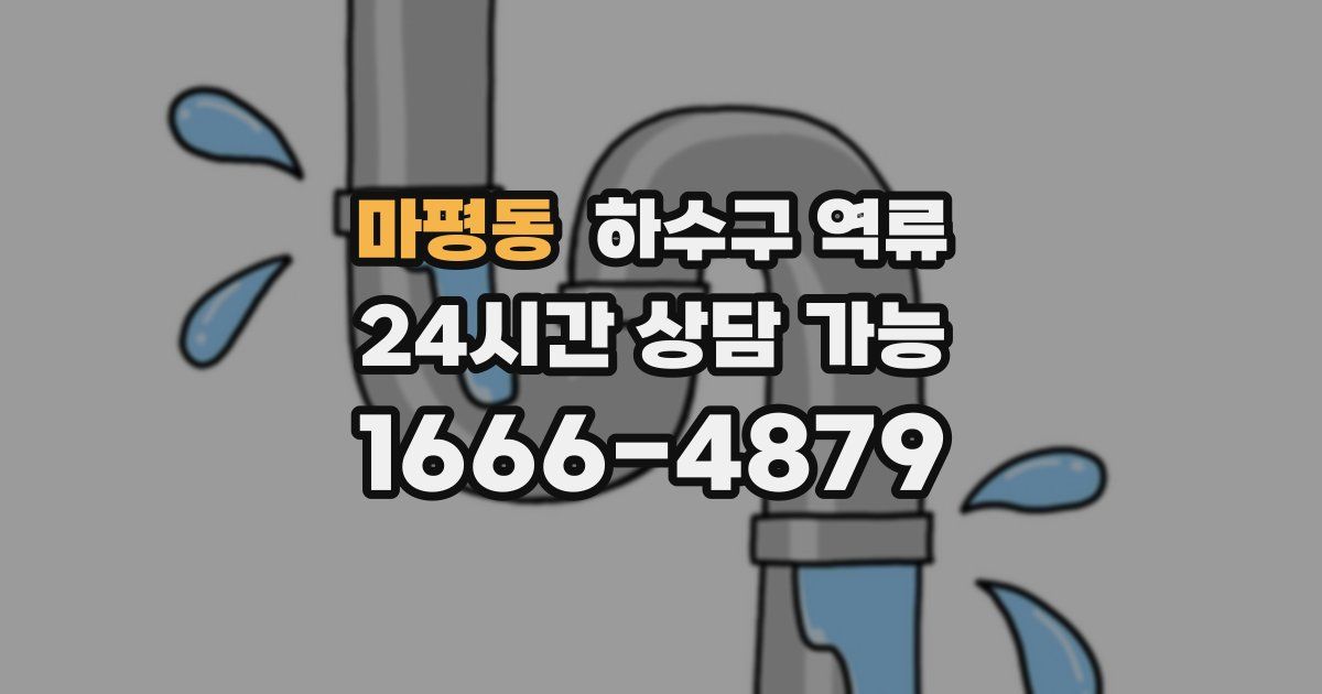 마평동 하수구 역류